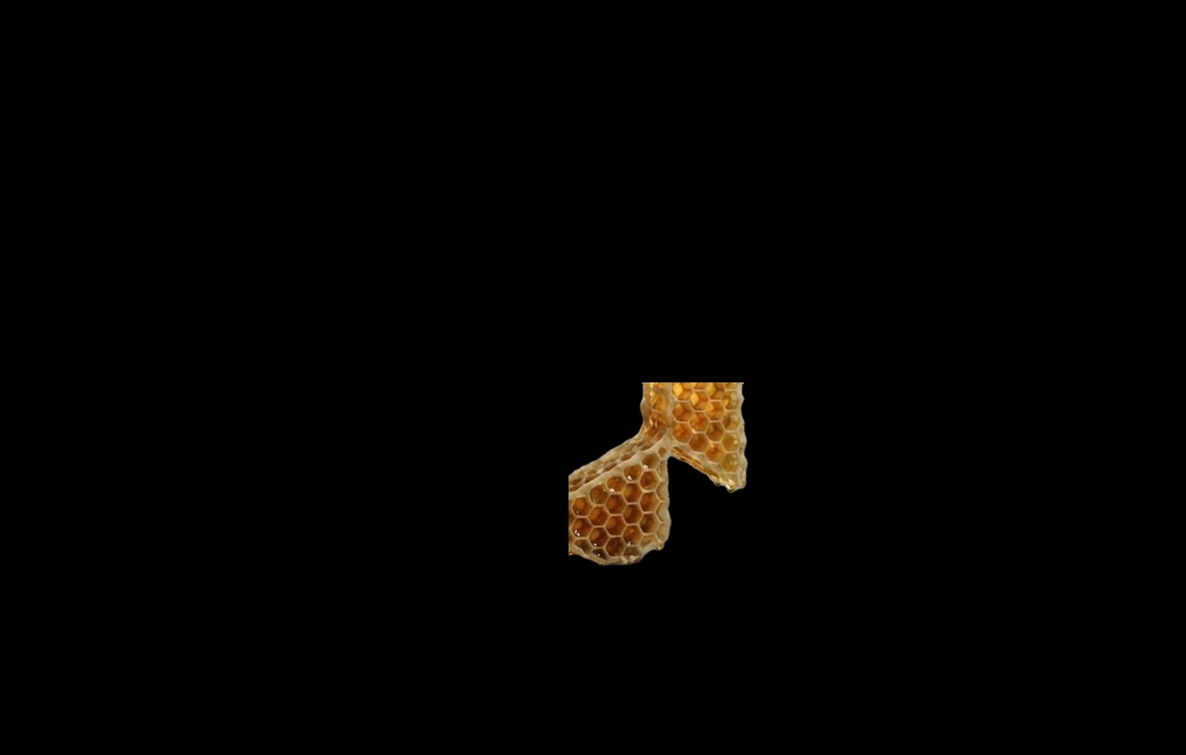 CJM Logo Part 2